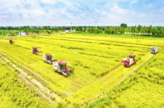 湖北粮仓的荆州担任